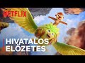 Videó borítókép
