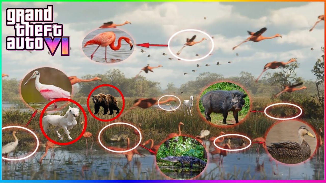 GTA 6 ALL NEW Animals Coming To The Game HUGE Map Update YouTube 