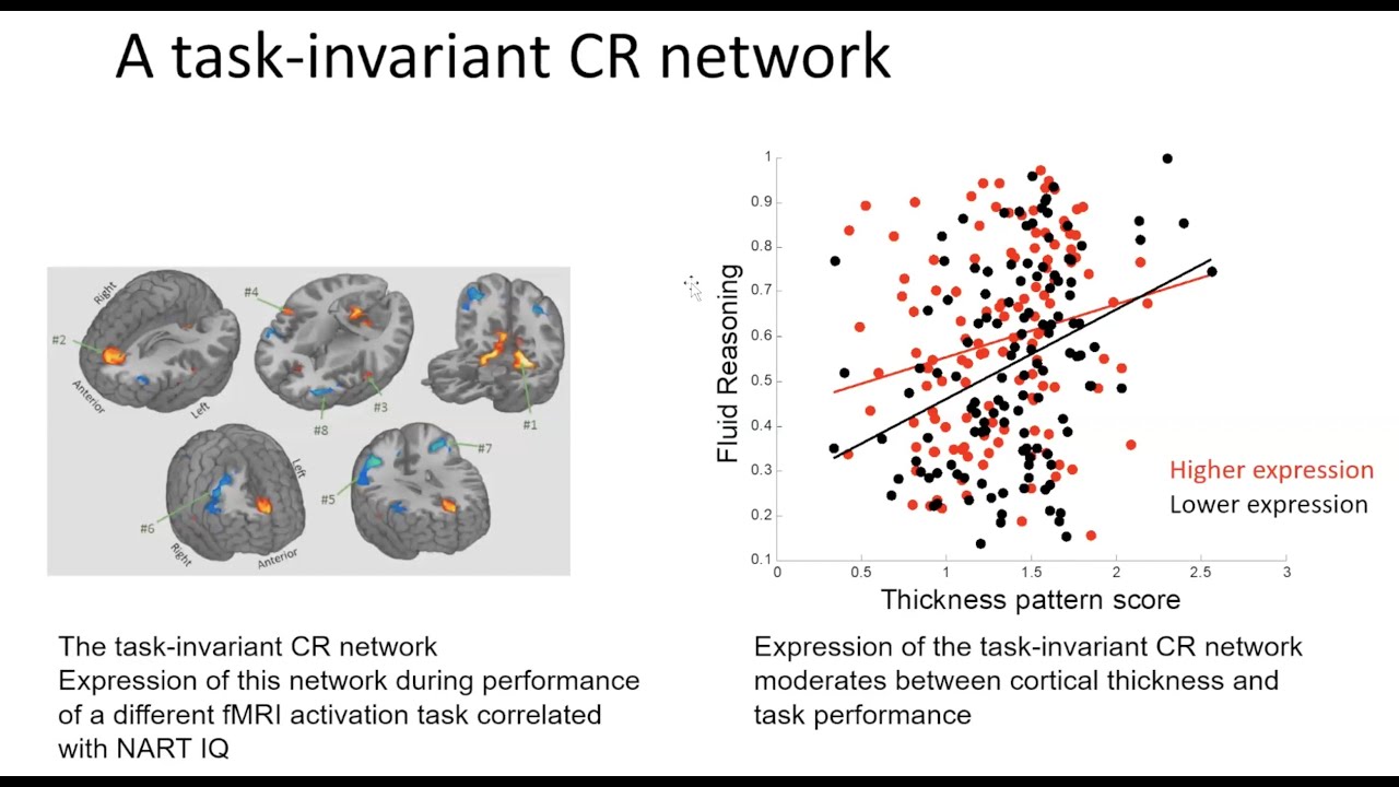 Yaakov Stern (Columbia U) on Imaging Cognitive Reserve