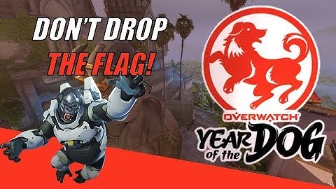 What Will Make You Drop The Flag in Overwatch CTF? | Overwatch Year of the Dog Event