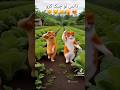 cat dance #cat #catdance #aivedio #cartoon #catvedio #funnyshorts #catfunnyvideo #catreel #meow