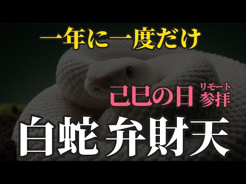 5月5日 己巳の日×大安×端午の節句 己巳の月です！白蛇弁財天さまのご縁日 最強大金運日にリモート参拝！