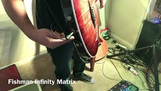Taylor Expression System Vs Fishman Infinity Matrix on a T5