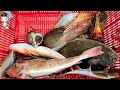 Assorted Seafood Sashimi Songdo Fish Market Pohang Korea 포항 송도 활어회센터 해물모듬회 03 sea squirt abalone etc