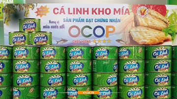 Sản phẩm Cá Linh Kho Mía Antesco (Tỉnh An Giang) - Đề cử Top 100 Sản phẩm OCOP 2023 #2