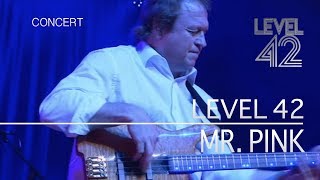 Level 42 - Mr. Pink (Live in Holland 2009) OFFICIAL chords