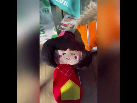 Jouw trouwe viervoeter