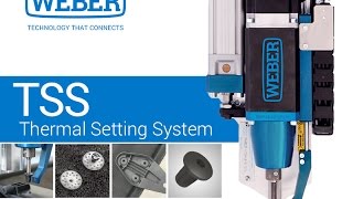 WEBER Thermal Setting System (TSS)