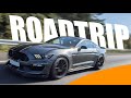 SHELBY GT350 : UN MONSTRE! - roadtrip Vroom44