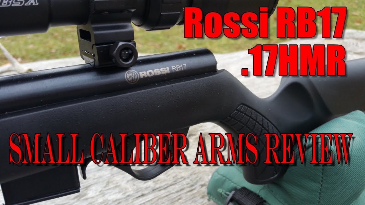 Rossi RB17, inexpensive bolt action 17HMR rifle from Brazil.