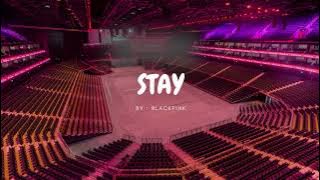 BLACKPINK - STAY but you're in an empty arena 🎧🎶