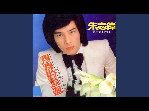 夕陽無限好 (feat. 維也納樂隊) [修復版]