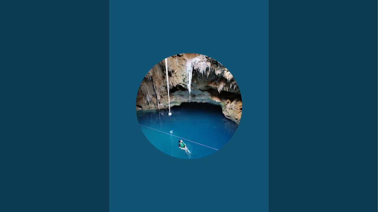 carmen piña está en vivo