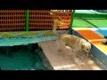 遅れてきた夏休み