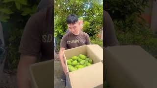 Download Lagu Rumah Penuh kenangan suka dan duka, MP3