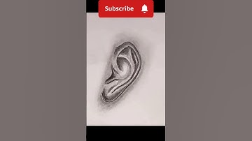 How to draw ears for beginners 👂/ Draw a realistic ear #art #drawing #tutorial #shorts #trending
