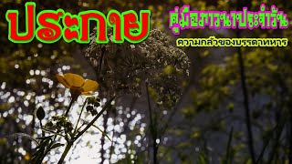 ประกาย คู่มือภาวนาประจำวัน 