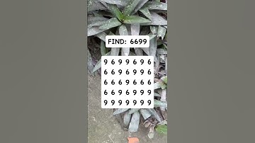 Observation Visual Test: 5 Seconds For You To Spot 6699. Try Your Skills!  #search #puzzle #shorts