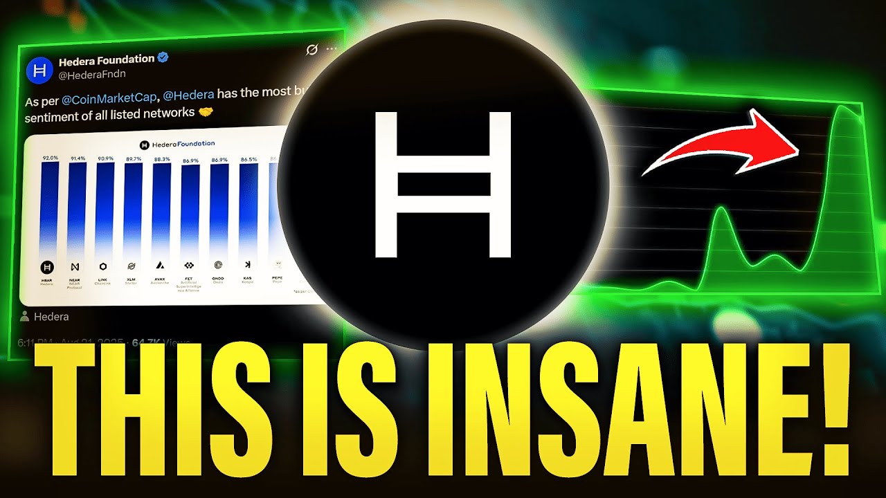 Something INSANE Is Happening On Hedera HBAR Right Now! YouTube