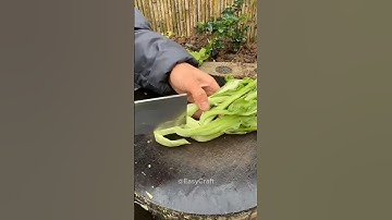 Watch how the turnip top is cut