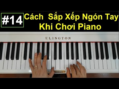 Video ✅ #14 Cách Sắp Xếp Ngón Tay Khi Chơi Piano | Tuấn Lưu... - youtube