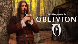 TES IV: Oblivion - Watchman's Ease - Cover by Dryante