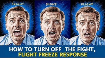 How to Turn off the Fight Flight Freeze Response Anxiety Skills