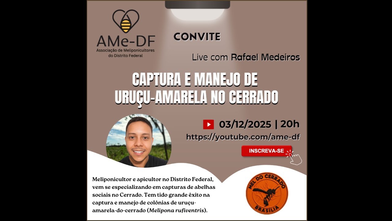 Captura e manejo de uruçu-amarela no Cerrado
