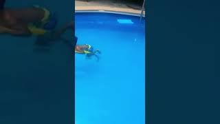 My Dad My Coach My 1St Swimming Lessons