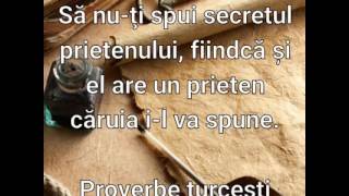 Proverbe Si Citate Intelepte