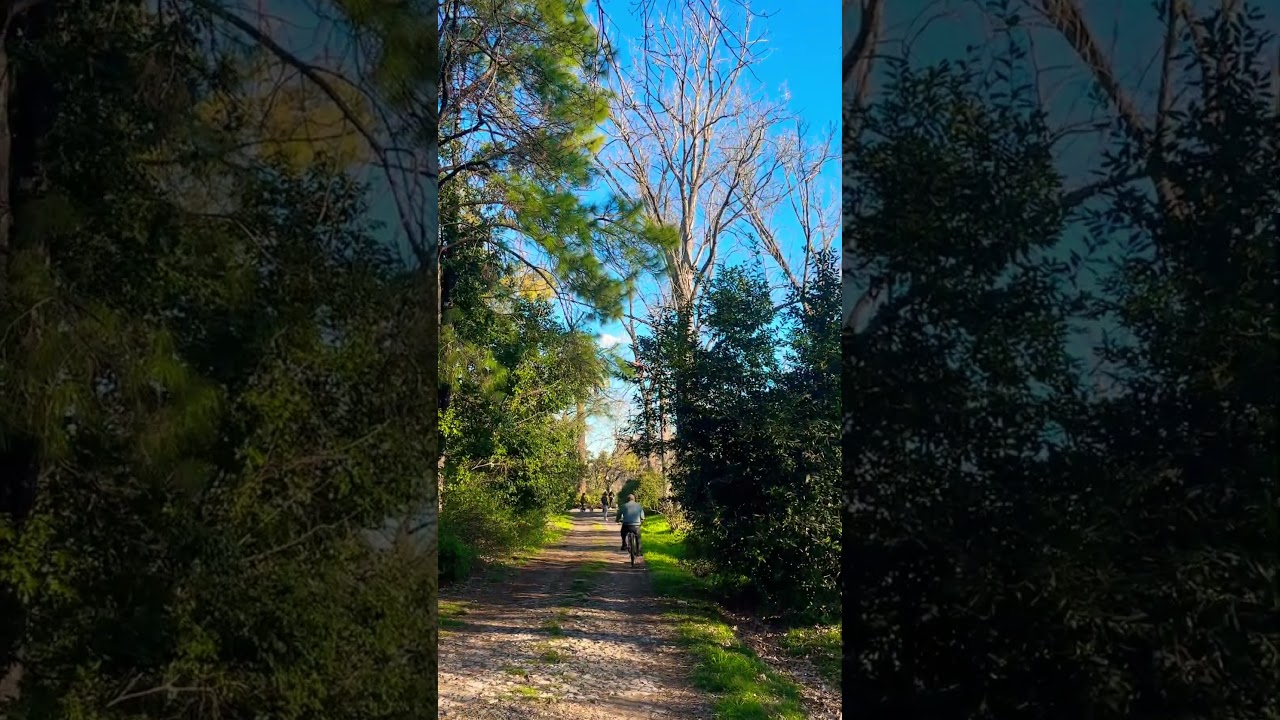 Pero que hermoso es el predio de la facultad de #Agronomia de la Universidad de #buenosaires #shorts