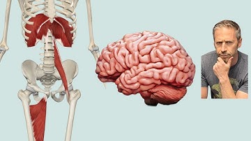 The Left AIC Pattern EXPLAINED