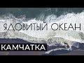 Ядовитый Океан. Документальный фильм о крупнейшей экологической катастрофе на Камчатке