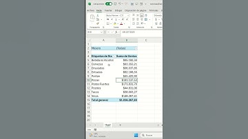 Cómo crear informes individuales con filtros de tablas dinámicas en Excel