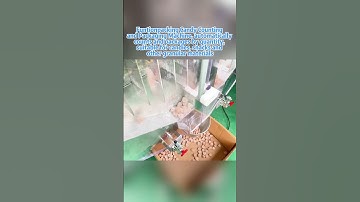 FUNTION PACK candy counting and packaging machine, automatic counting  #automaticpackingmachine