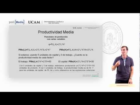 Microeconomía I - Tema 1: Introducción (3) - Alfonso Rosa