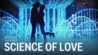 The science of falling in love
