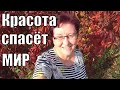 29 сентября. Собираю терн. Варю интересный СУП. Ильгиз на КУХНЕ. Наши любимицы помогают как могут.