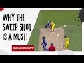 Every Batter Needs This Shot – Here’s why |Thrive Cricket | Batting Tips