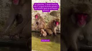 Banhando Na Água Fria