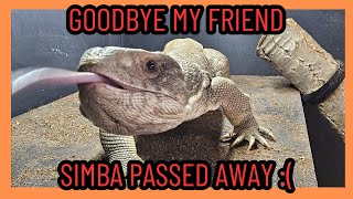 I Lost My Best Friend Today :( Goodbye Simba I Love You