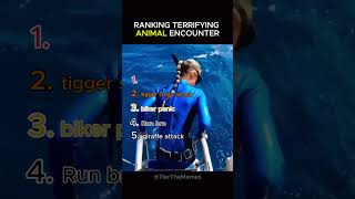 RANKING TOP ANIMAL ENCOUNTER