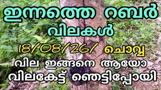 Today's Rubber Price | 08/18/26 Tuesday | Manojnediyackal rubber tapping