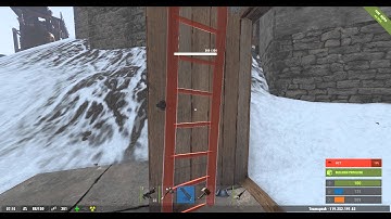 Rust bug