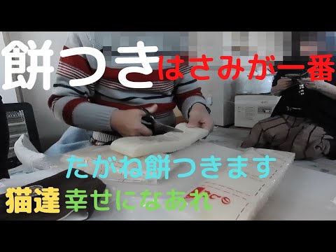 ナショナルの餅つき機でたがね餅をついてはさみで切った