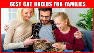 Best Cat Breeds for Families with Children Find Your Purrfect Match!