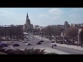 Харьков 2019 апрель. Крокусы в центре города.