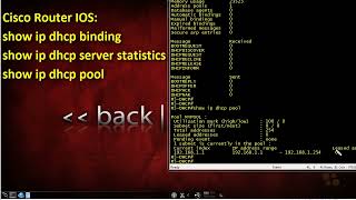 Celebrity 48  DHCP Starvation || MicroNuggets: DHCP Starvation Attacks Explained Wealth