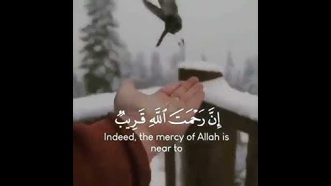 آيات القرآن الكريم(2)