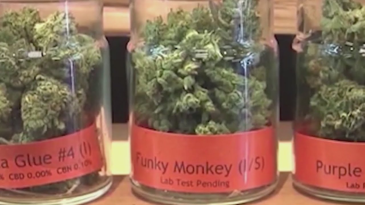Injunction blocks NY cannabis dispensary licensing